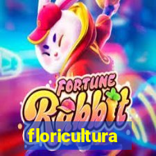 floricultura botafogo rio de janeiro